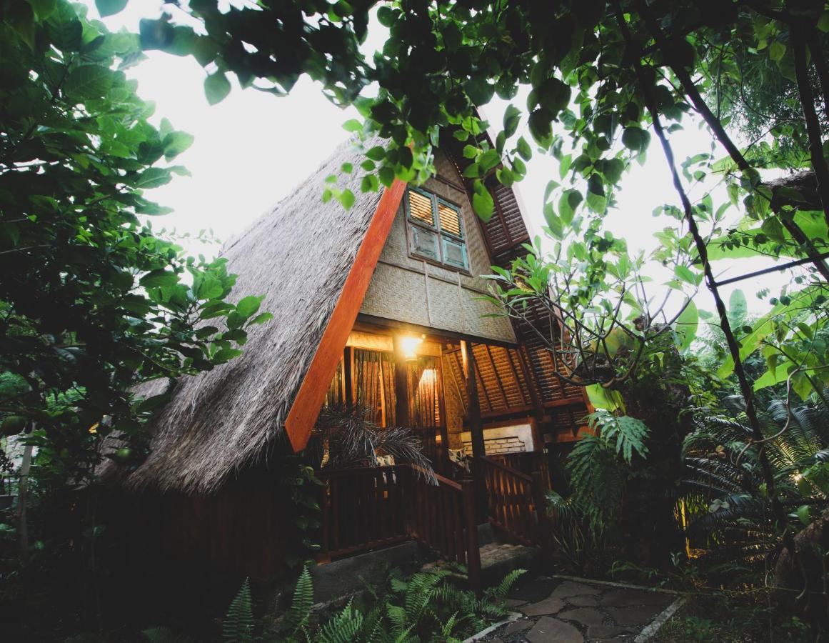 巴乐菊空住宿加早餐旅馆 丹戎 外观 照片